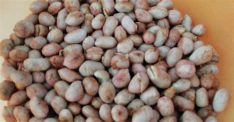 3357 Resep Kacang Sangrai Enak Dan Sederhana Cookpad