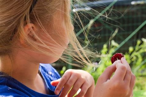 Premium Photo Close Up Of Cute Girl Holding Cherry