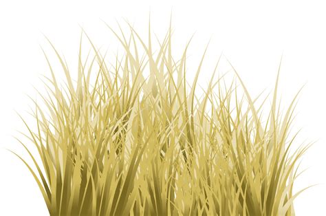 Dead Grass Png Transparent