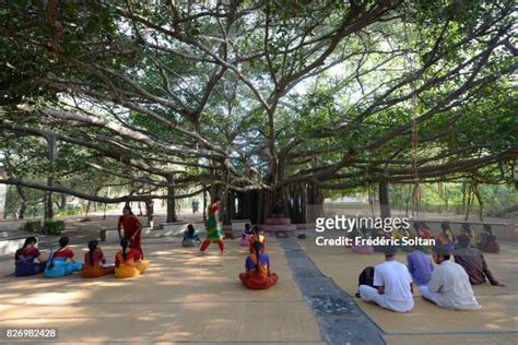 Kalakshetra School Photos and Premium High Res Pictures - Getty Images