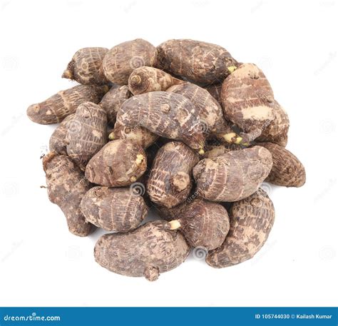 Fresh Raw Taro Vegetable stock photo. Image of asian - 105744030