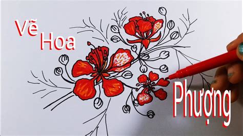 VẼ HOA PHƯỢNG MÙA HÈ Dễ NHẤT - ĐẸP NHẤT/How To Draw Phoenix Flowers - Hôm