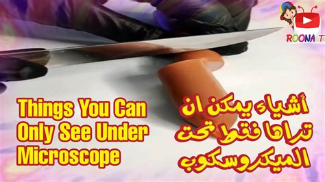 Things You Can Only See Under Microscope أشياء يمكن ان تراها فقط تحت