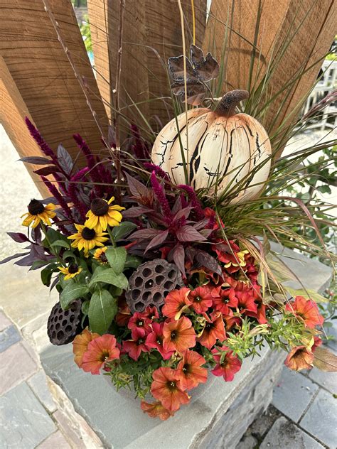 Fall Annual Planter - SOLD OUT | White Oak Gardens | Cincinnati, OH
