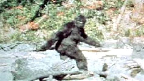 Discovering Bigfoot Anticipating A Frightful Netflix Documentary The