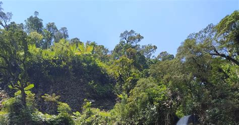 Healing Dan Berpetualang Di Curug Cibereum Anak Muda Wajib Coba