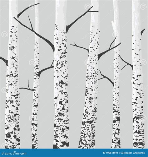 Birch Tree Forest Vector