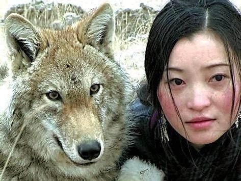 画狼、写狼、拍狼，看狼女画家李微漪《重返狼群》|李微漪|狼 …