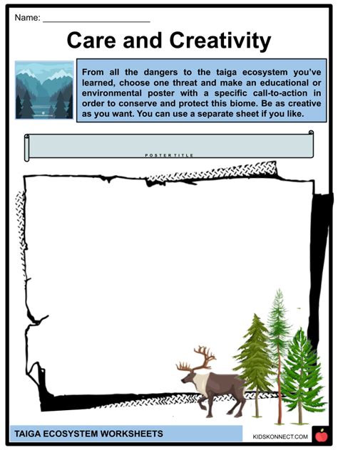 Taiga Ecosystem Facts & Worksheets | Geography, Characteristics