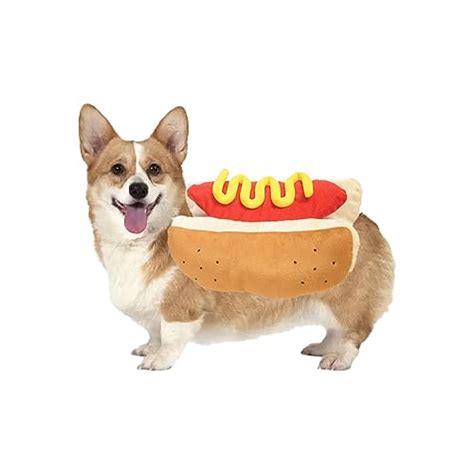 I Tested And Ranked The Best Hot Dog Weiner Costume In 2024: And Here's ...