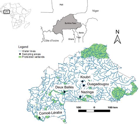 Frontiers Preliminary Biological Data Of Sahel Wetland Ecosystems In