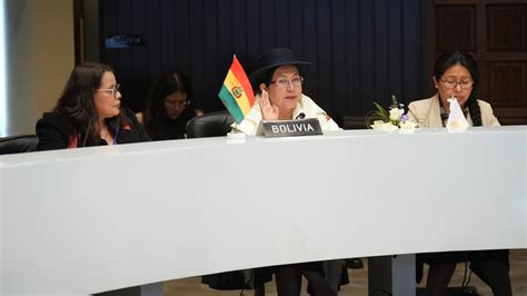 Bolivia Logra Incorporar La Atenci N De Incendios En Declaraci N De La