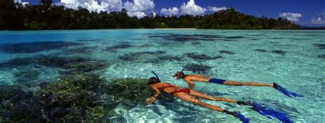 Uepi Island Resort Reviews And Specials Bluewater Dive Travel