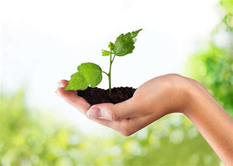 Essay on Environment for Children and Students 