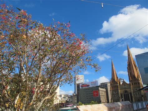 Nasi Lemak Lover Federation Square City Circle Tram Melbourne Australia