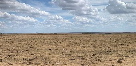 Ministerio De Ganadería Extendió Emergencia Agropecuaria Por Otros 90