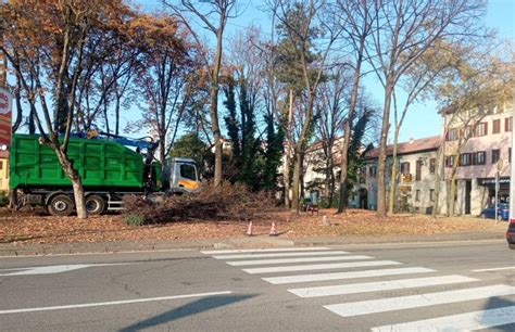 Busto Via Mazzini Manutenzione Sul Verde Pubblico Rete