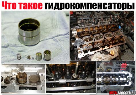 Интересные факты о Гидрики что это такое