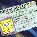 Spongebob Squarepants' Driver License Meme Generator - Imgflip