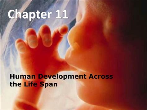 Ppt Chapter 11 Powerpoint Presentation Free Download Id2410858