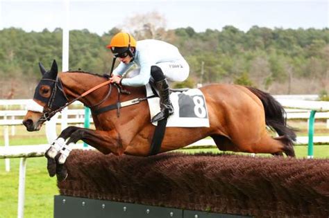 KOLIRISKA La fiche CANALTURF du cheval performances pmu pédigré