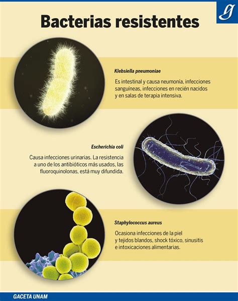 Resistencia bacteriana a los antibióticos