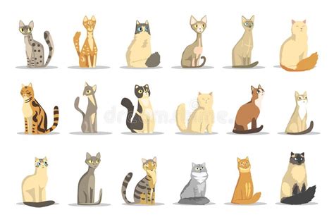 Standing Cats Front And Back Border Set Stock Vector Illustration Of