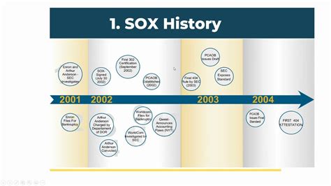 SOX Sarbanes Oxley Act Compliance For Dummies YouTube