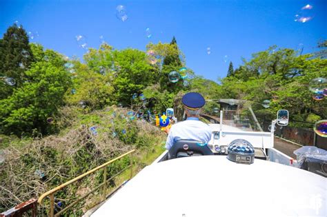 高千穗峽一日遊，天空小火車、拍照地點、美食、划船資訊重點整理