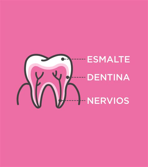 Qu Es La Sensibilidad Dental Descubre Sus Causas Y C Mo Tratarla Isdin