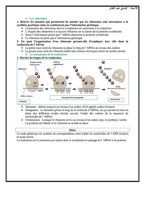 Expression De Linformation G N Tique Cours Alloschool