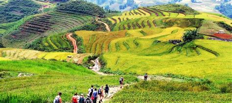 The Best Hiking and Trekking Trails in Vietnam: From Mountain Peaks to ...