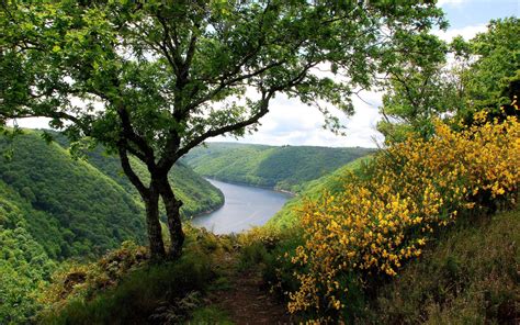 Hills Grass River View Trees Trail Bush Wallpapers Hd Desktop