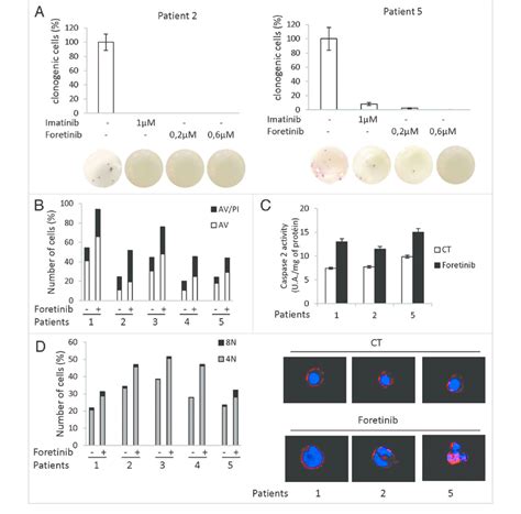 Foretinib induces apoptosis and MC in CML cell patients. (a) Foretinib ...