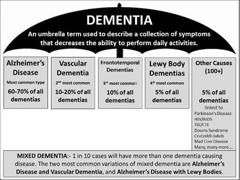 The Four Most Common Types Of Dementia