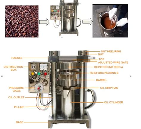 Simple Operation Hydraulic Press Cocoa Beans And Small Coconut Oil