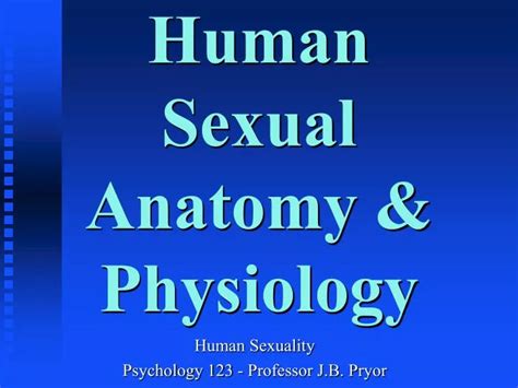 Ppt Human Sexual Anatomy And Physiology Powerpoint Presentation Id