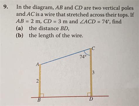 Solved In The Diagram Ab And Cd Are Two Vertical Poles And Ac Is A