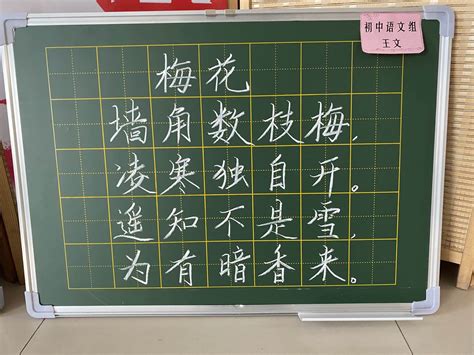 横平竖直书汉字，一撇一捺写人生——初中部语文组教师粉笔字展示活动 校园新闻 济南世纪英华实验学校