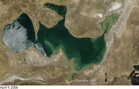 Once Left For Dead The Aral Sea Is Now Brimming With Life Thanks To