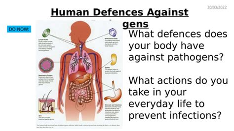 Aqa Gcse Biology B5 Communicable Diseases Powerpoint Pack