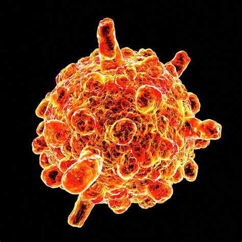 infantile gastroenteritis virus  photograph  mehau kulyk pixels