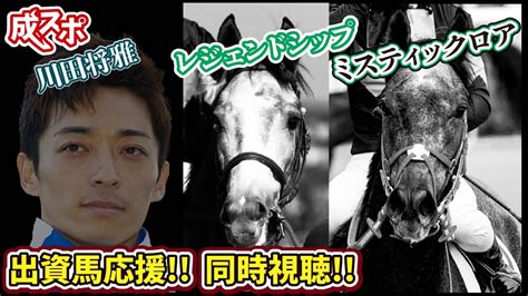 一口出資馬【 レジェンドシップ 】【＃ミスティックロア 】応援！3歳未勝利！！阪神2rダート1800m＆阪神5r 芝2400m アロゲート産駒＆ゴールドシップ産駒共に勝ち上がれるか 鞍上