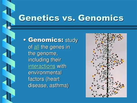 Ppt Genomics And You Powerpoint Presentation Free Download Id527949