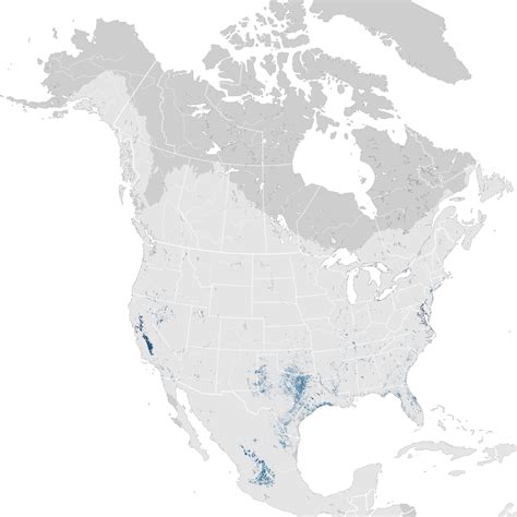 Canvasback Abundance Map Non Breeding Ebird Status And Trends