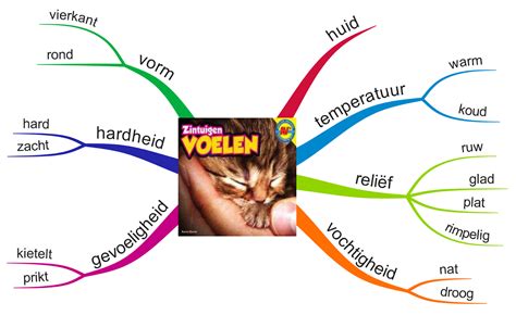 Eigenwijs In Onderwijs Zintuigen Horen Voelen Proeven Ruiken And Zien