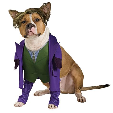 20+ Cute Halloween Costumes for Extra Large Dogs (up to 3XL!) - Hey ...