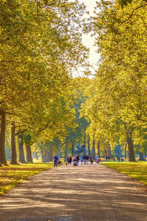 25 Gorgeous Parks in London You Need to Explore — London x London