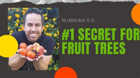 1 Secret To Growing Fruit Trees In Arizona Youtube