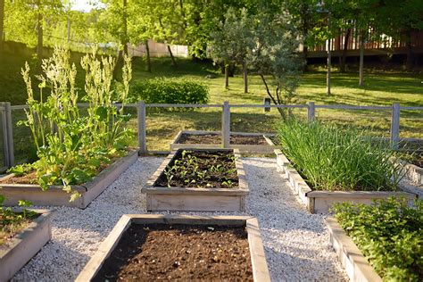 Hoe Kun Je Een Makkelijke Moestuin Starten Voor Beginners Zo Doe Je